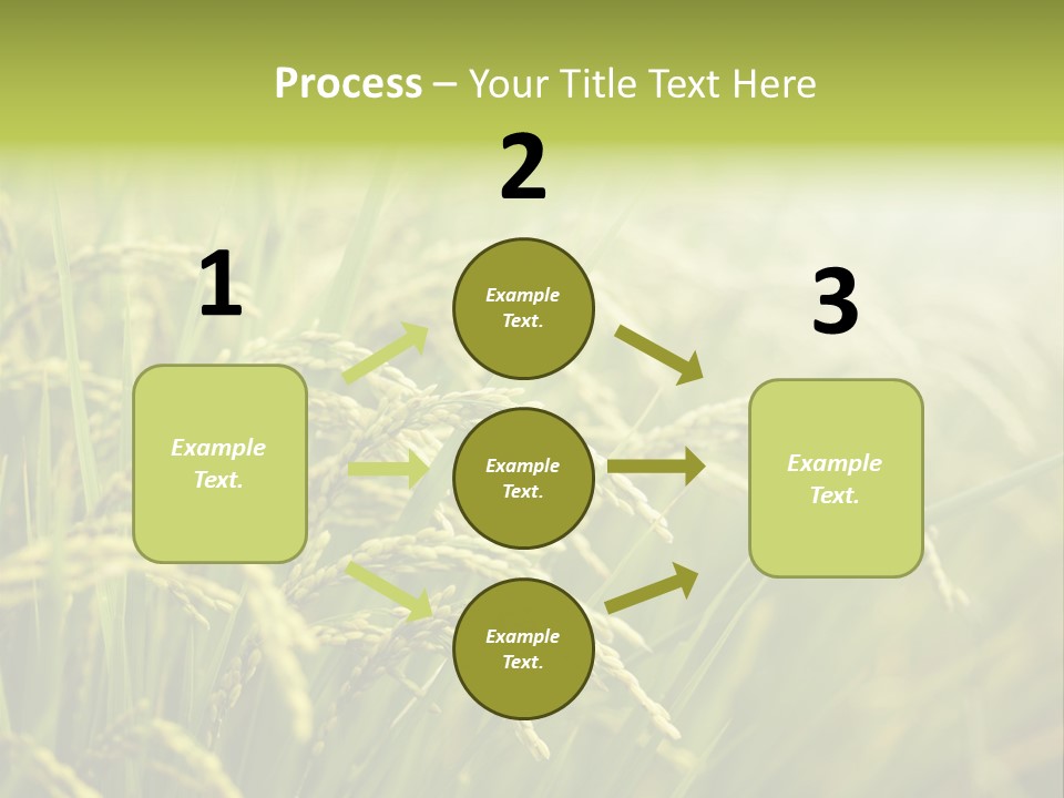 Japanese Leaves Natural PowerPoint Template