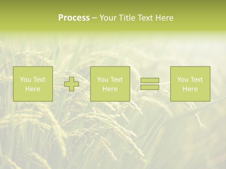 Japanese Leaves Natural PowerPoint Template