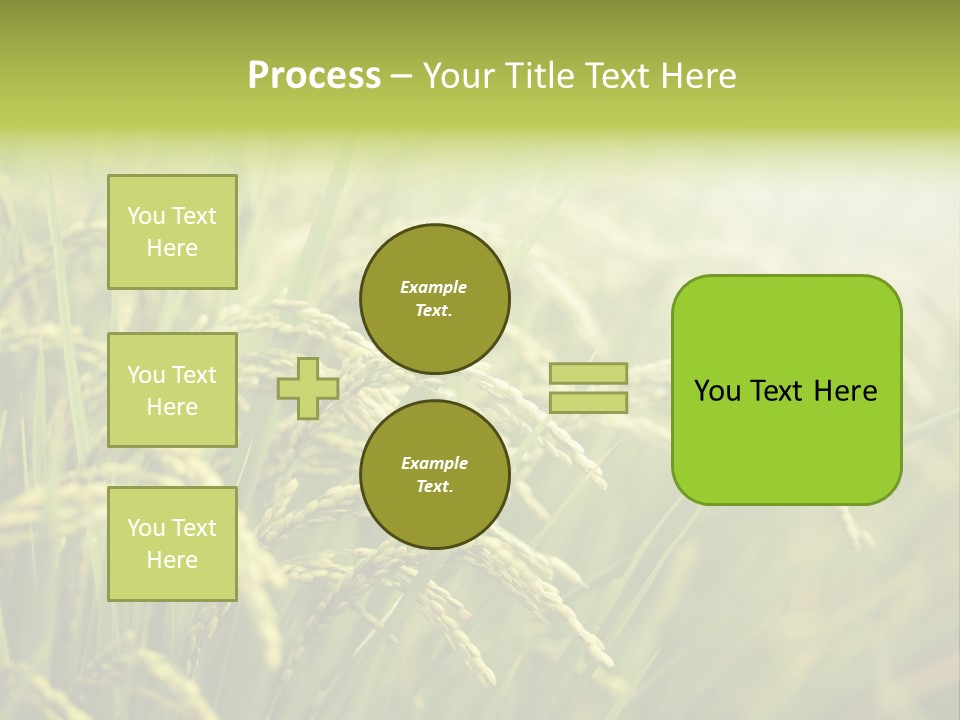 Japanese Leaves Natural PowerPoint Template