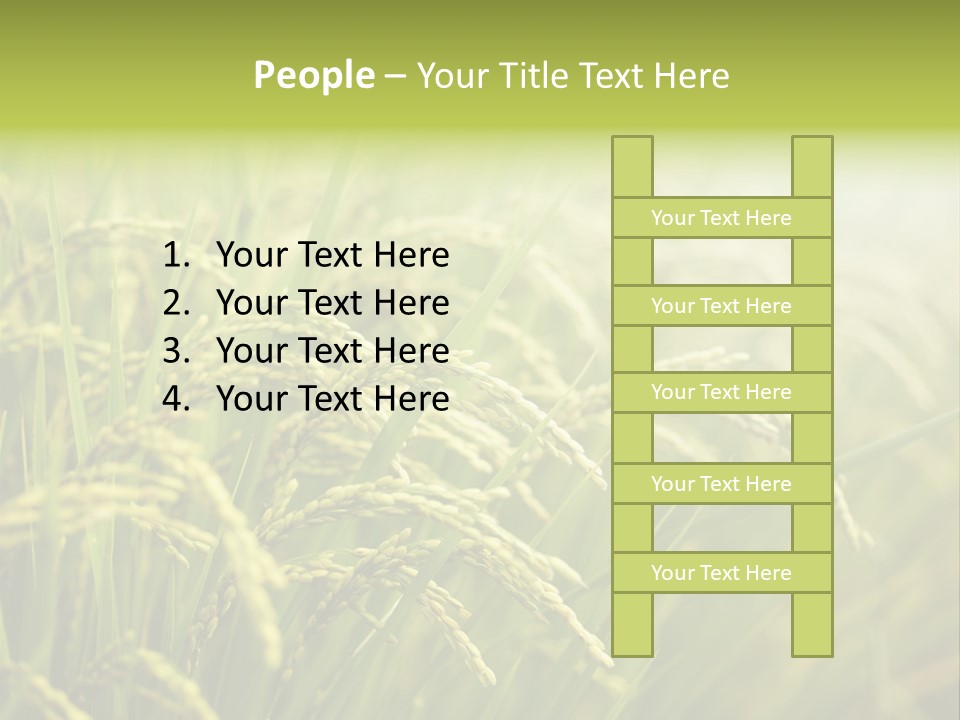 Japanese Leaves Natural PowerPoint Template