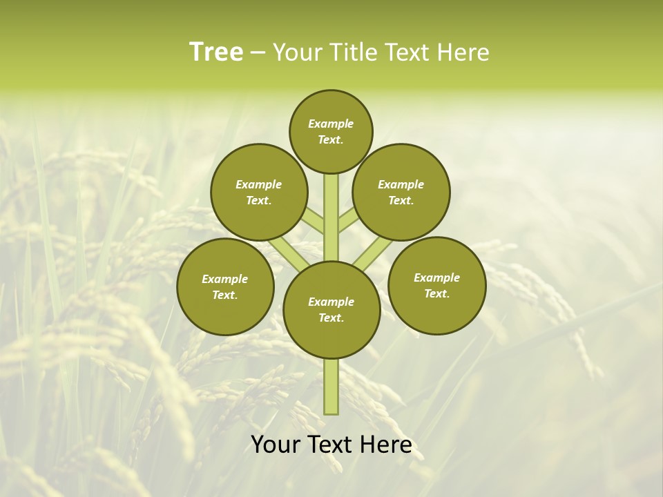 Japanese Leaves Natural PowerPoint Template