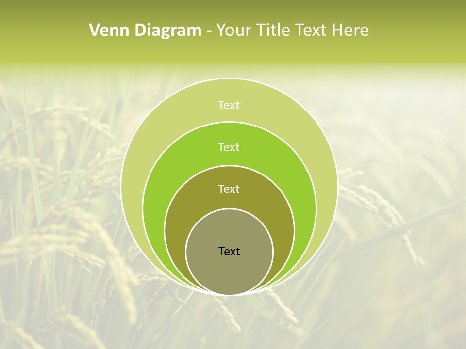 Japanese Leaves Natural PowerPoint Template