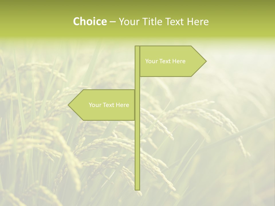 Japanese Leaves Natural PowerPoint Template