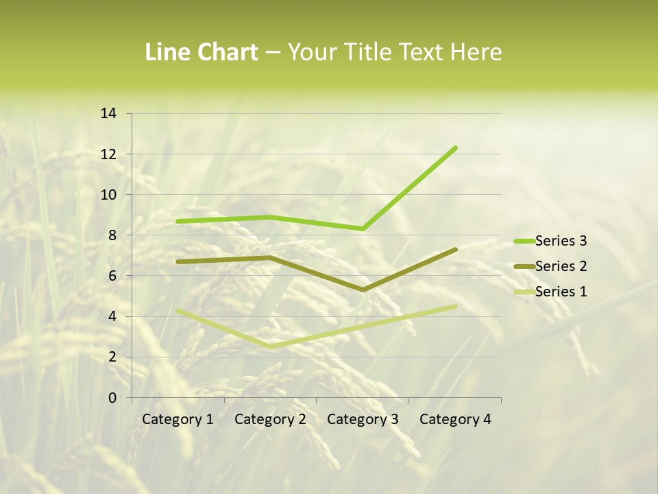 Japanese Leaves Natural PowerPoint Template