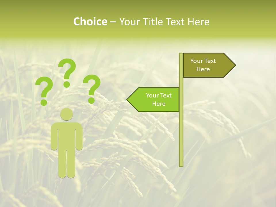 Japanese Leaves Natural PowerPoint Template