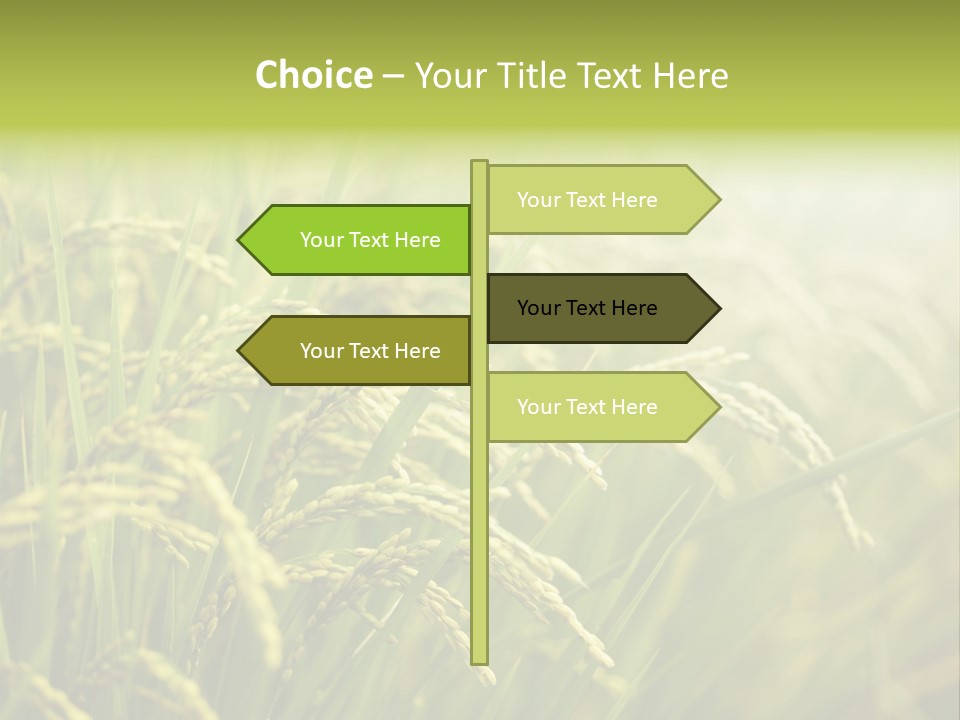 Japanese Leaves Natural PowerPoint Template