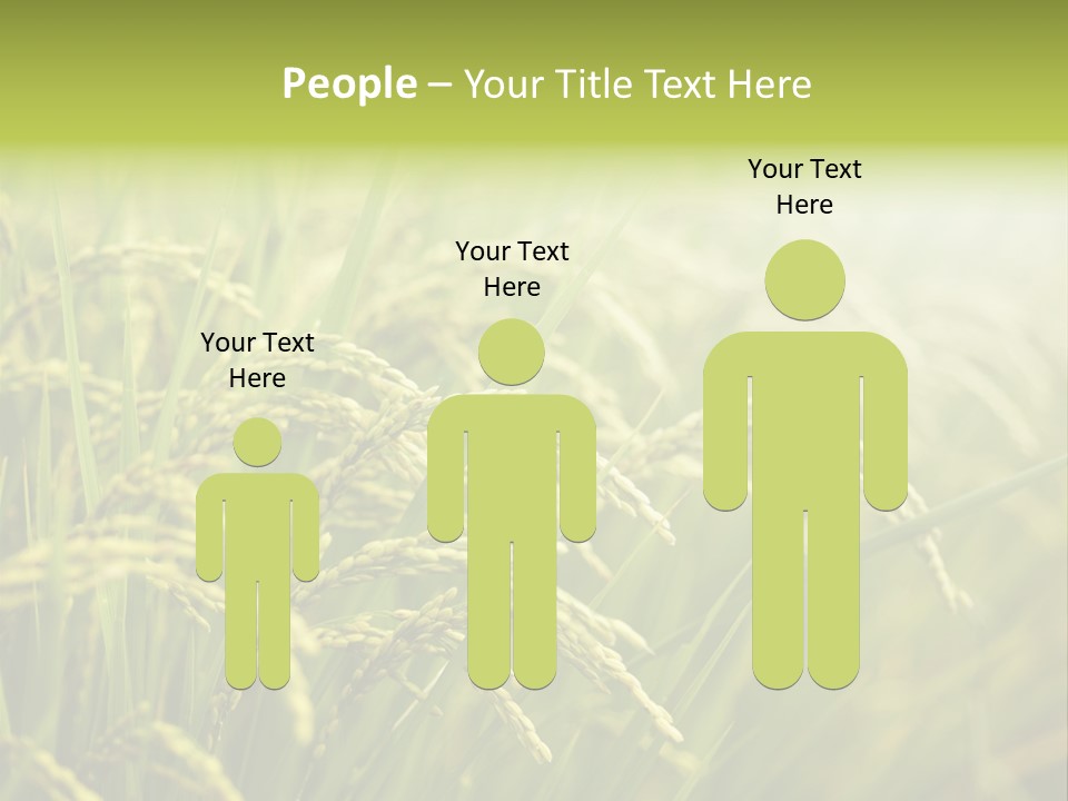 Japanese Leaves Natural PowerPoint Template