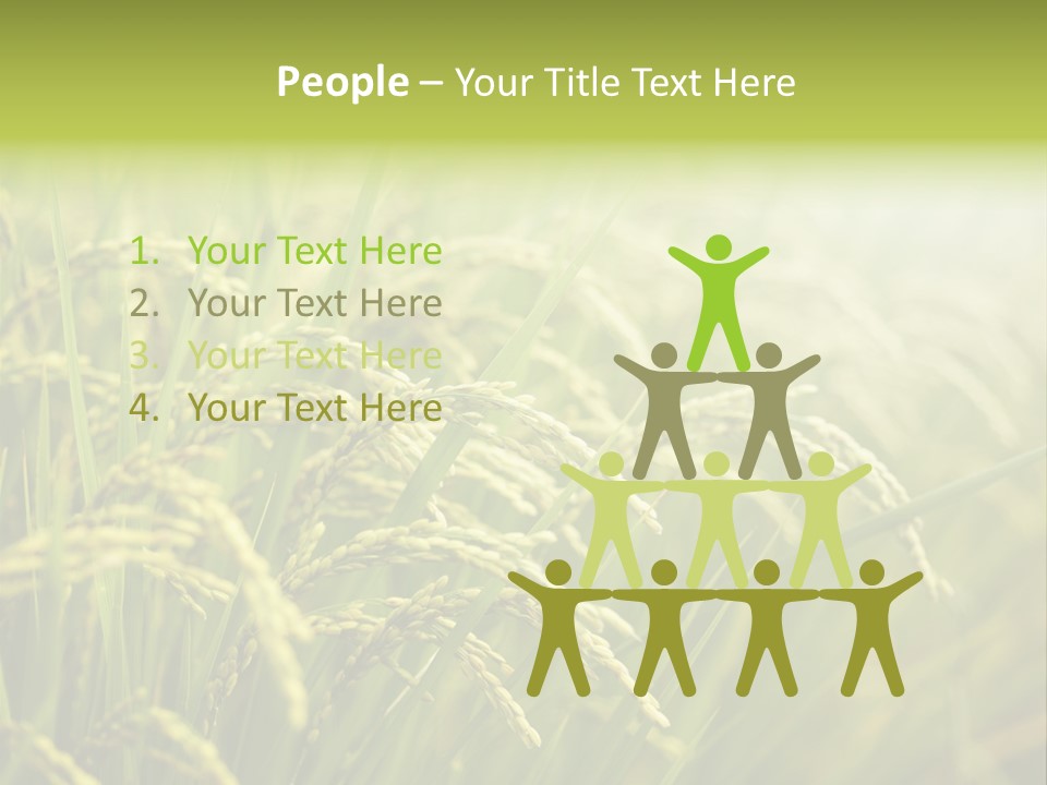 Japanese Leaves Natural PowerPoint Template