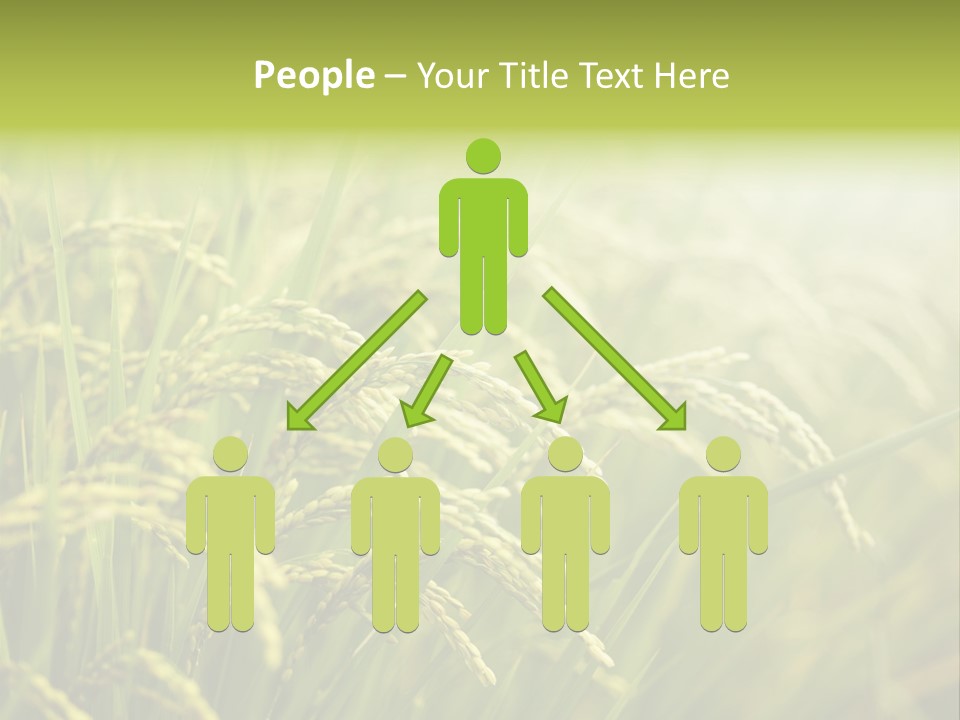 Japanese Leaves Natural PowerPoint Template