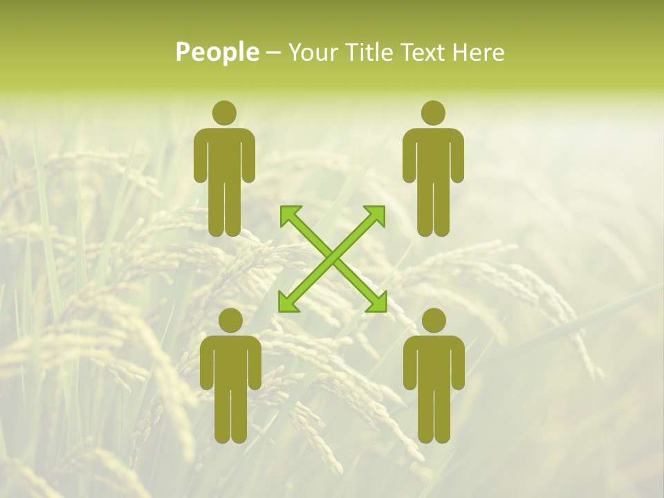 Japanese Leaves Natural PowerPoint Template