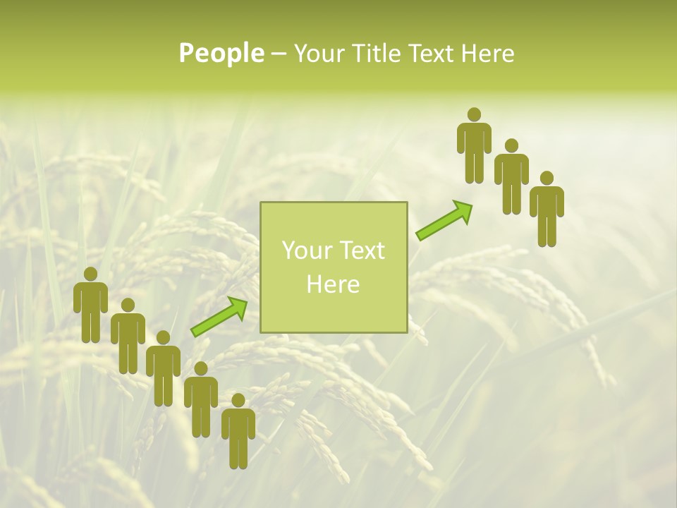 Japanese Leaves Natural PowerPoint Template