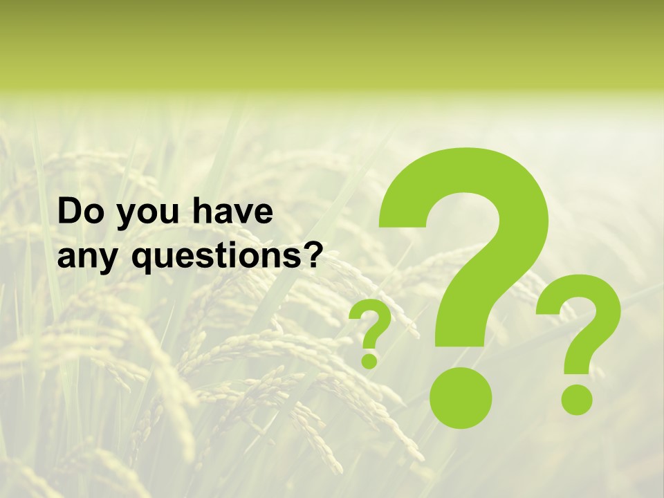 Japanese Leaves Natural PowerPoint Template