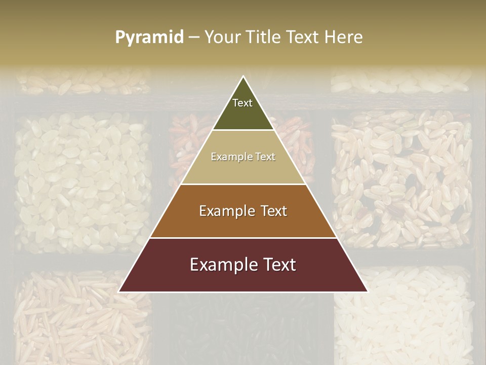 Collection Wild Parboiled PowerPoint Template