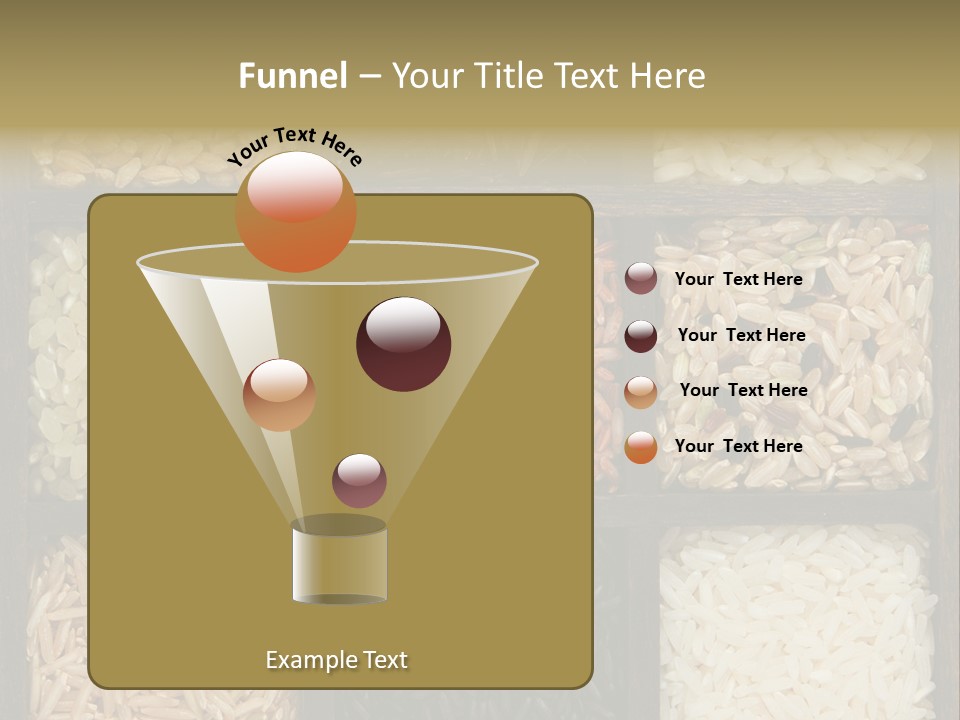 Collection Wild Parboiled PowerPoint Template