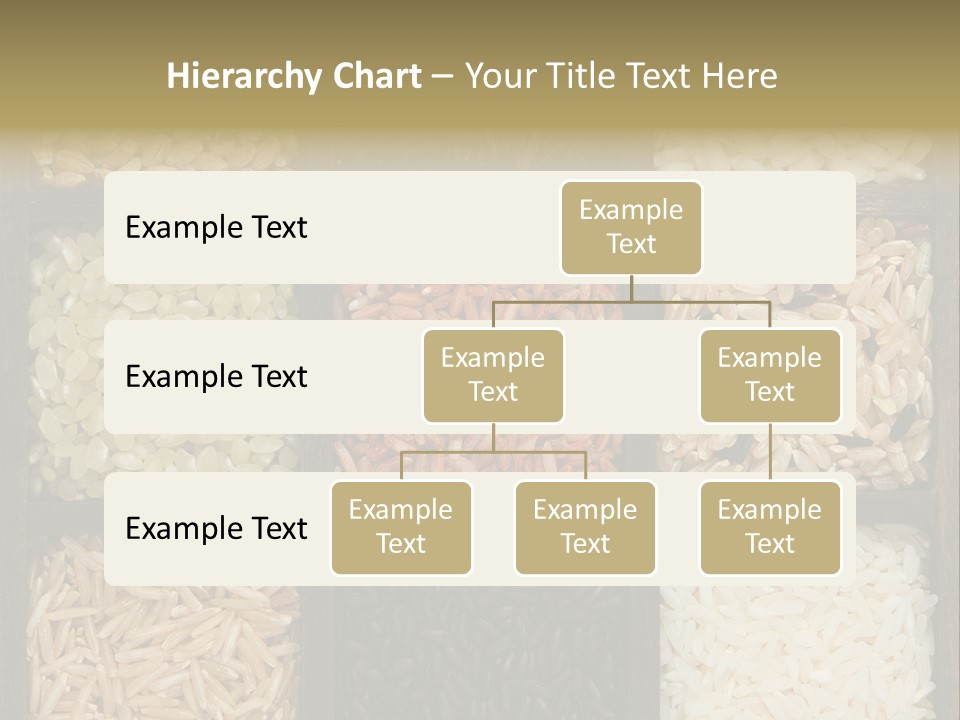 Collection Wild Parboiled PowerPoint Template