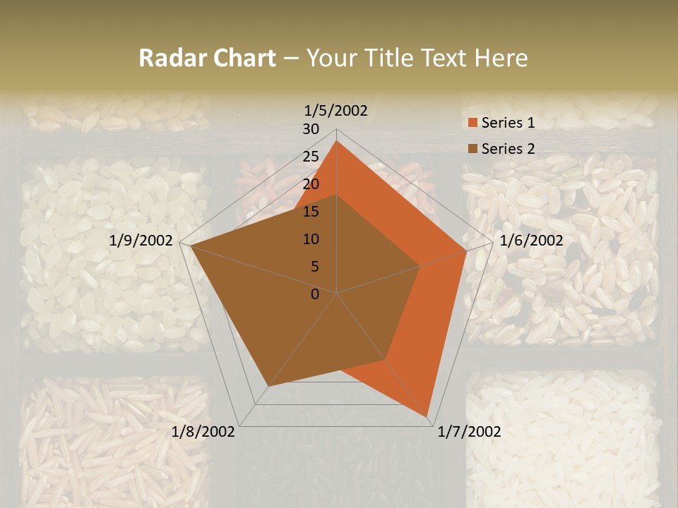 Collection Wild Parboiled PowerPoint Template