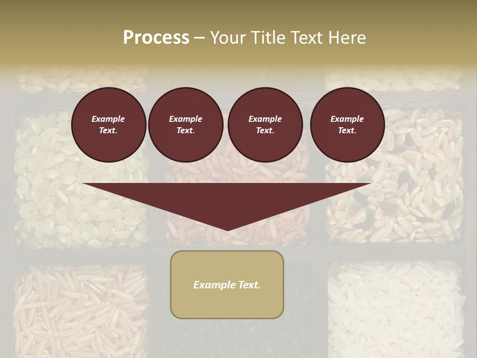 Collection Wild Parboiled PowerPoint Template