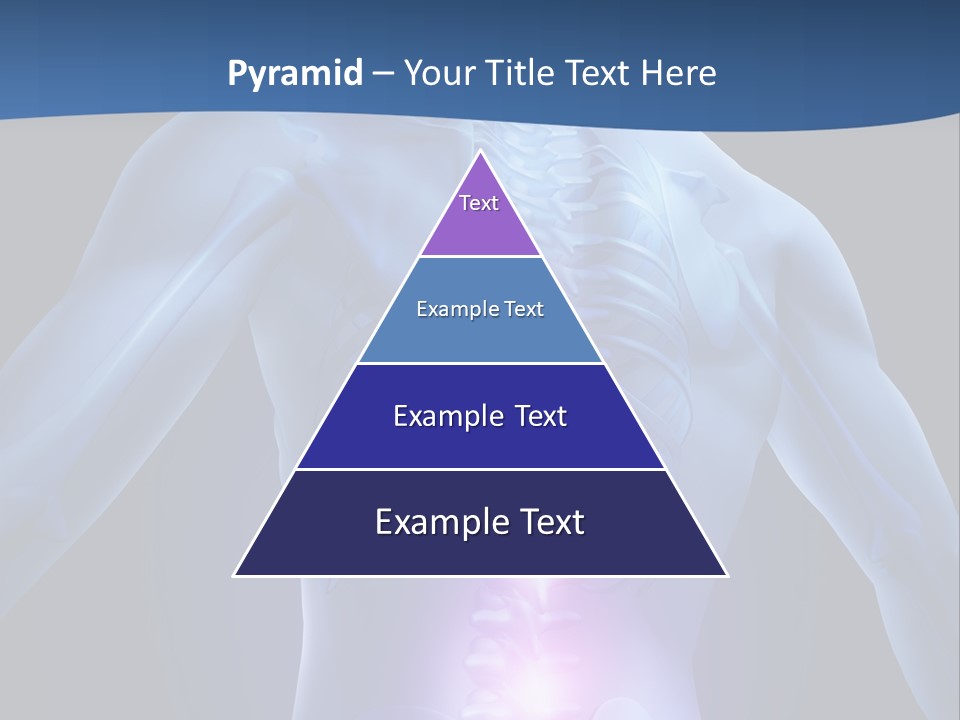 Sports Injury Low Back Pain Skeleton PowerPoint Template