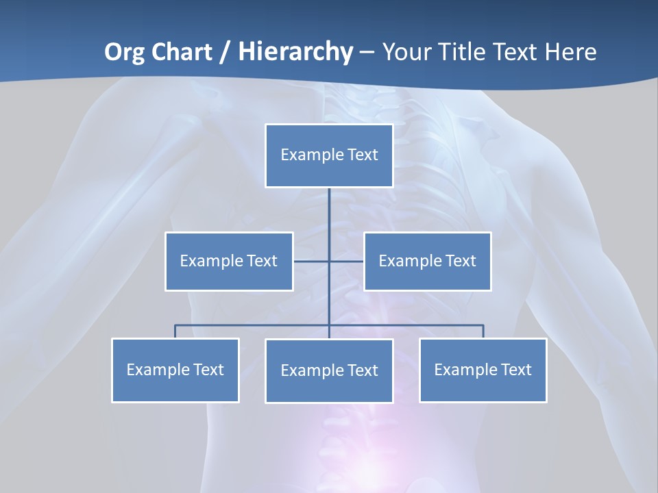 Sports Injury Low Back Pain Skeleton PowerPoint Template