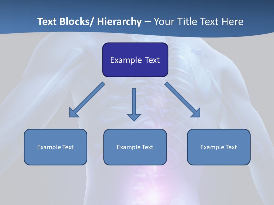 Sports Injury Low Back Pain Skeleton PowerPoint Template
