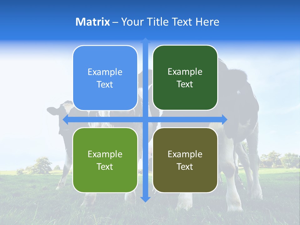 Morning Grass Outdoor PowerPoint Template