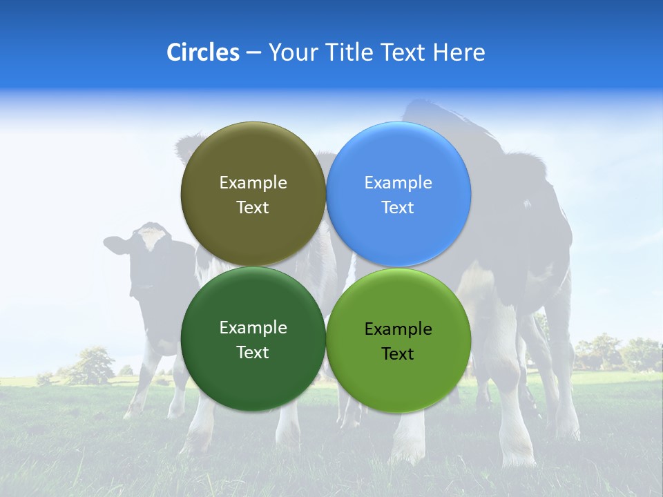 Morning Grass Outdoor PowerPoint Template