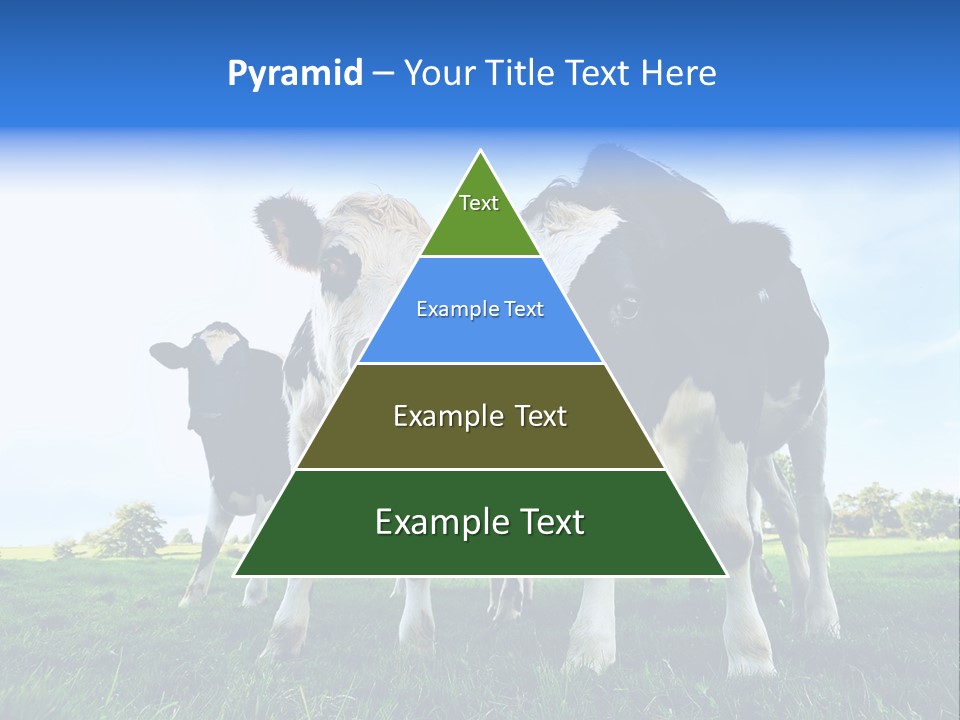 Morning Grass Outdoor PowerPoint Template