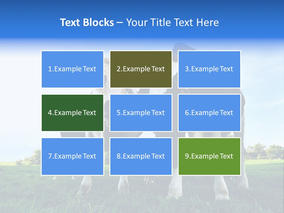 Morning Grass Outdoor PowerPoint Template