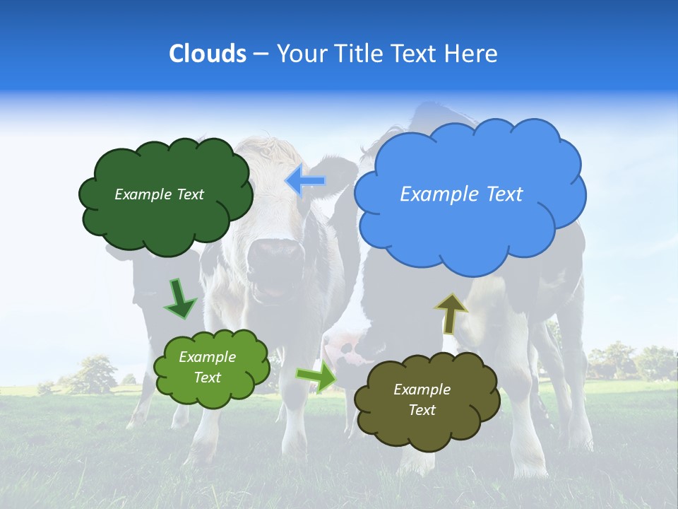 Morning Grass Outdoor PowerPoint Template