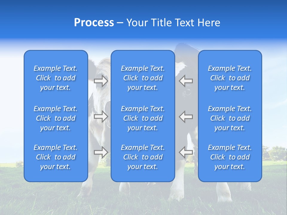 Morning Grass Outdoor PowerPoint Template