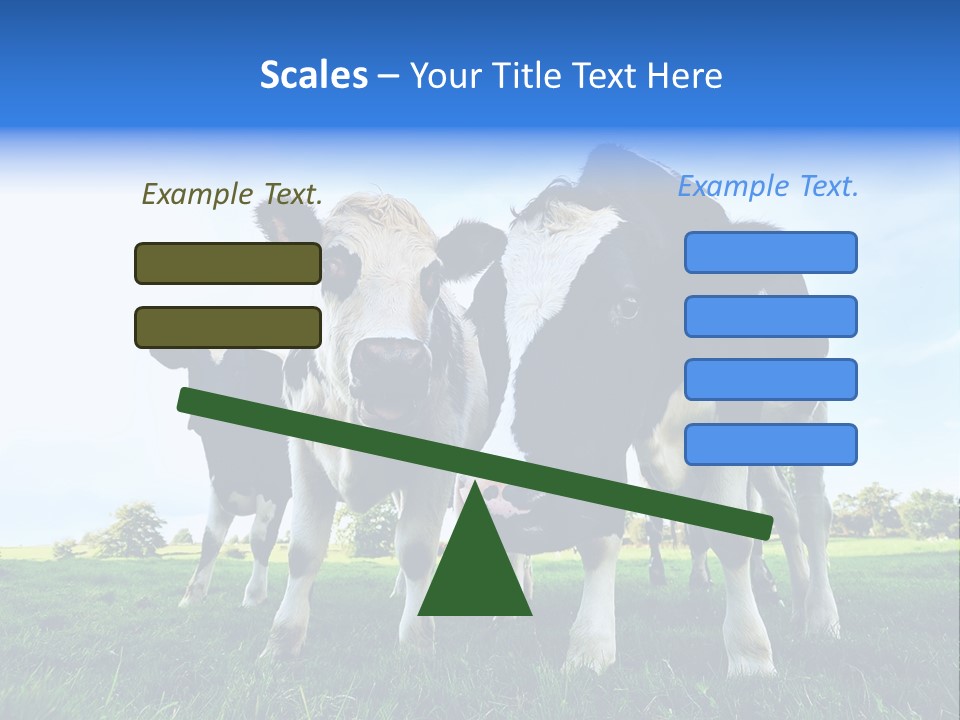 Morning Grass Outdoor PowerPoint Template
