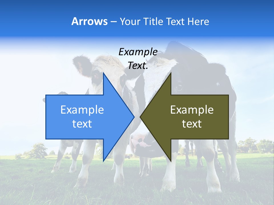 Morning Grass Outdoor PowerPoint Template