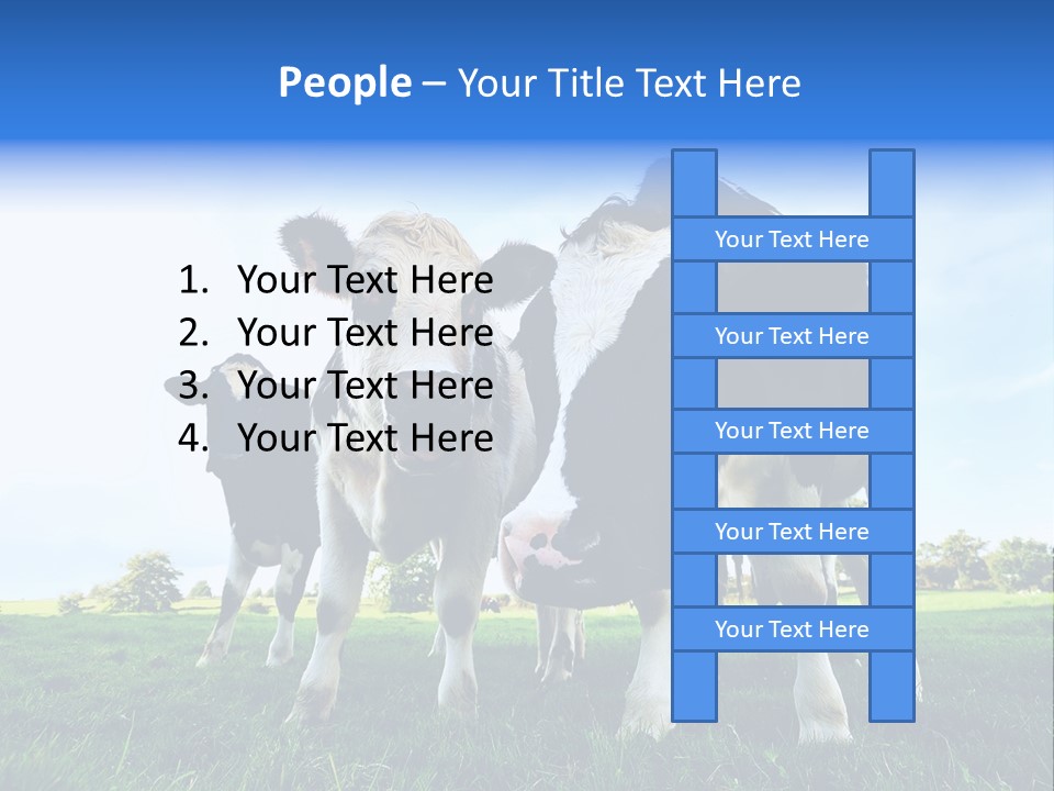 Morning Grass Outdoor PowerPoint Template