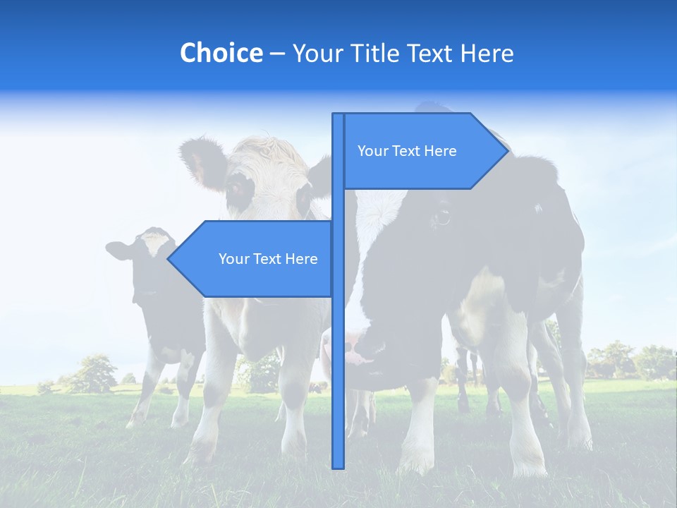 Morning Grass Outdoor PowerPoint Template