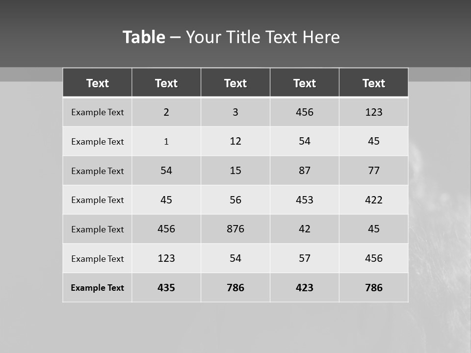 Beret Female Closeup PowerPoint Template