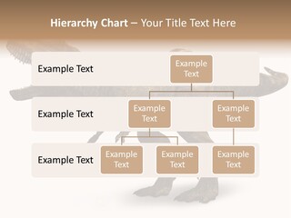 Jurassic Park Roar Dinosaur PowerPoint Template