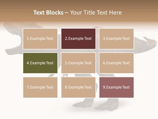Jurassic Park Roar Dinosaur PowerPoint Template