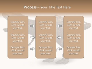 Jurassic Park Roar Dinosaur PowerPoint Template