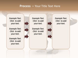 Jurassic Park Roar Dinosaur PowerPoint Template