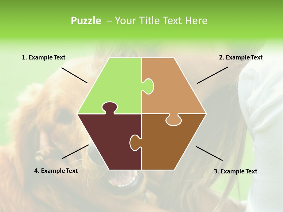 Cheerful Park Animal PowerPoint Template