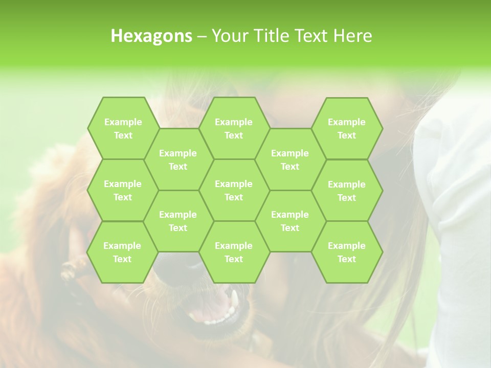 Cheerful Park Animal PowerPoint Template