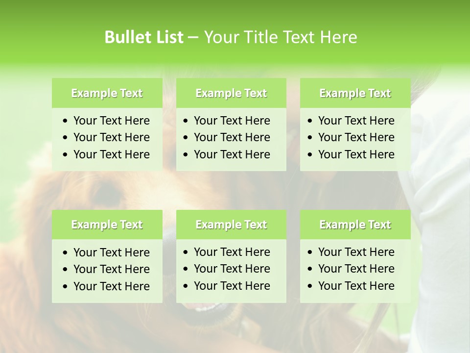 Cheerful Park Animal PowerPoint Template