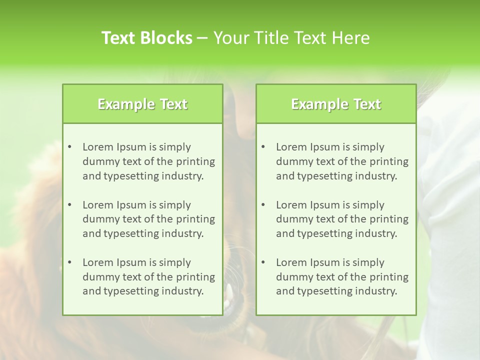 Cheerful Park Animal PowerPoint Template