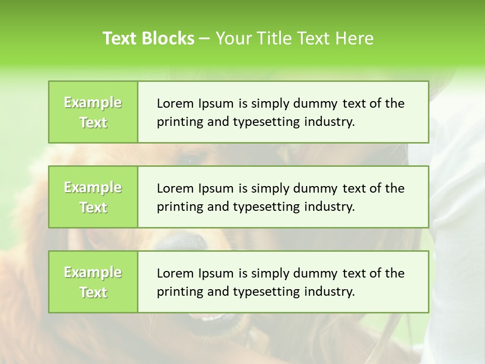 Cheerful Park Animal PowerPoint Template