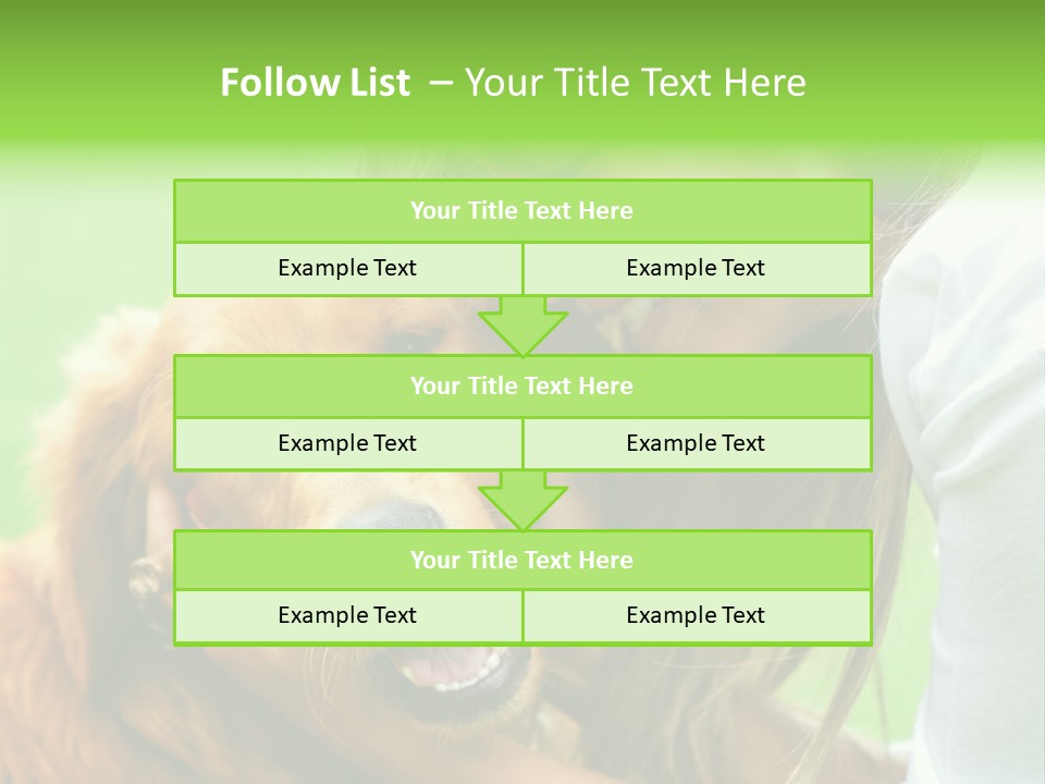 Cheerful Park Animal PowerPoint Template
