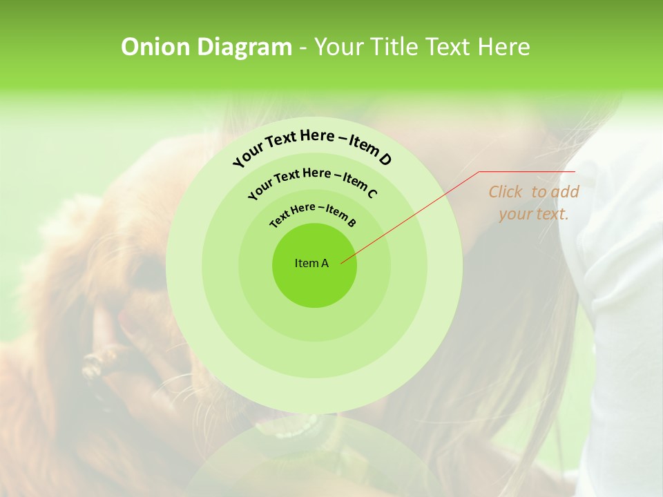 Cheerful Park Animal PowerPoint Template