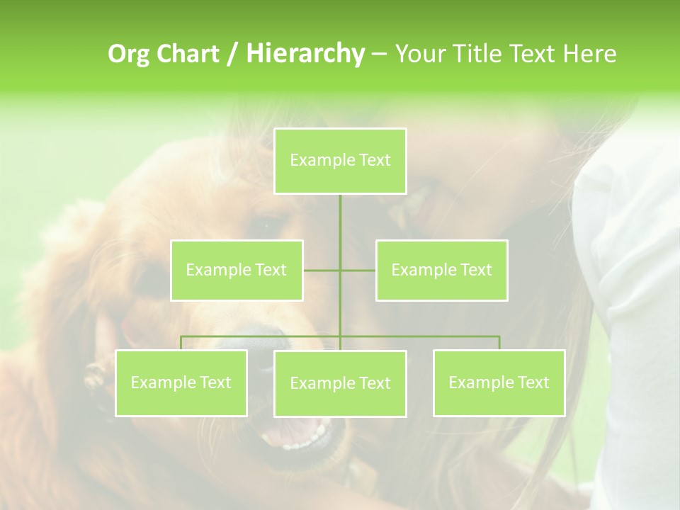 Cheerful Park Animal PowerPoint Template