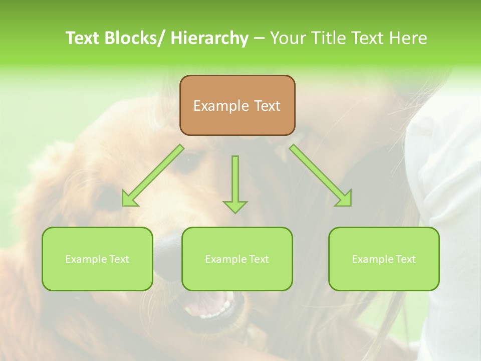 Cheerful Park Animal PowerPoint Template