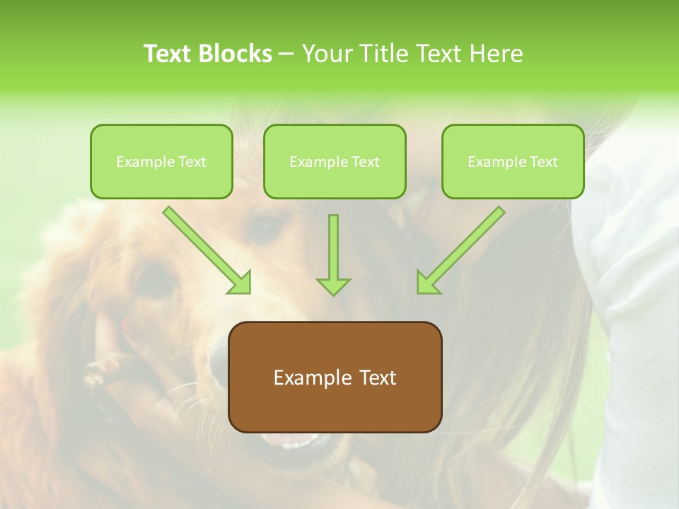 Cheerful Park Animal PowerPoint Template