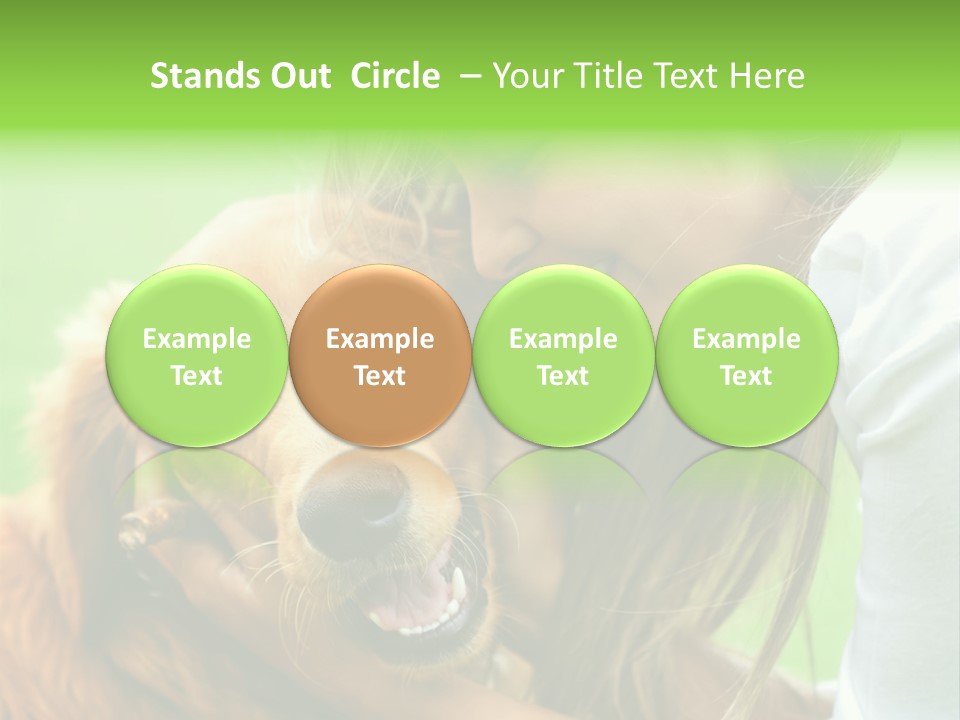 Cheerful Park Animal PowerPoint Template